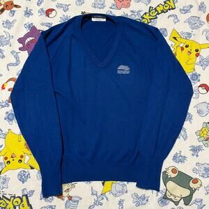 Vintage 70s Pickering Bright Blue Golf V-Neck Sweater